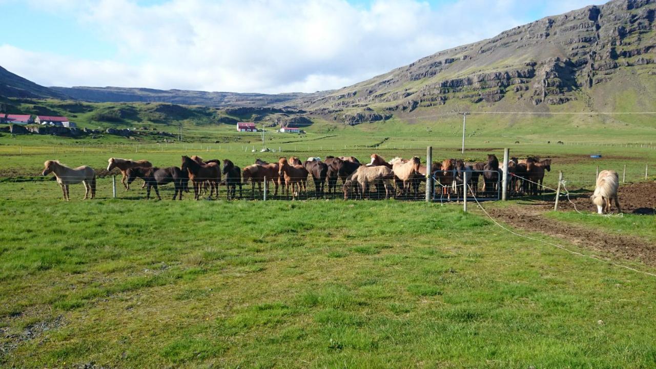 Laekjarhus Farm Holidays Borgarhöfn Exterior foto